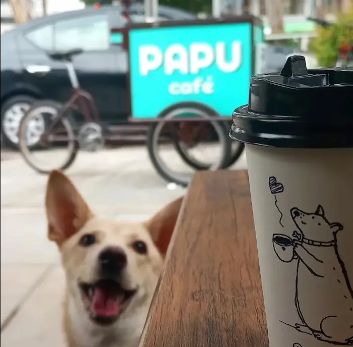 Las mejores cafeterías en Lince