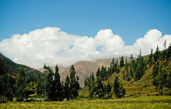 Tarma