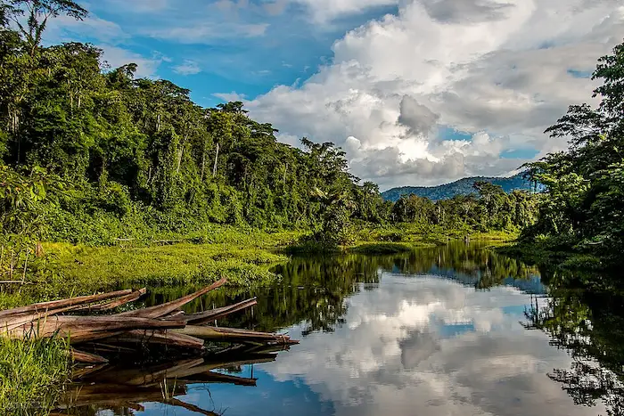 Parque Nacional del Manu