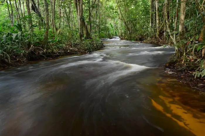 Río Amazonas